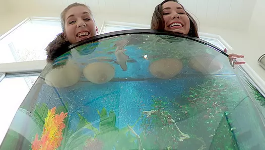Naughty teens fool around plunging natural XXX jugs into the aquarium
